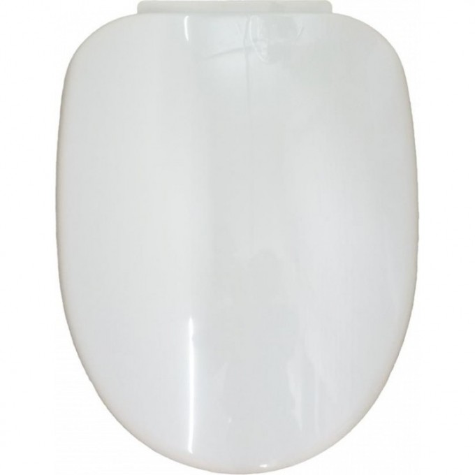 Крышка-сиденье AM.PM MOVE белая C7M7851WH